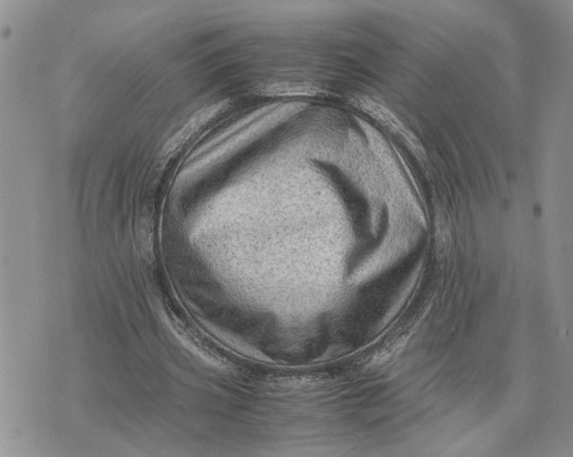 X0000075380533200609251154