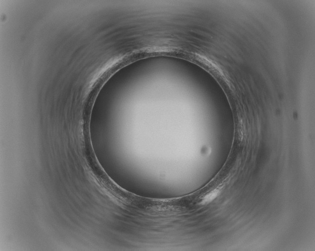 X0000075380535200609251154