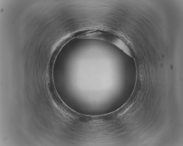 X0000075380536200609251154