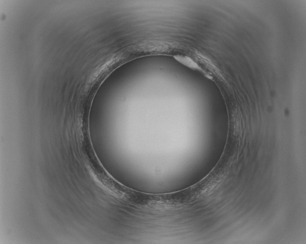 X0000075380538200609251154