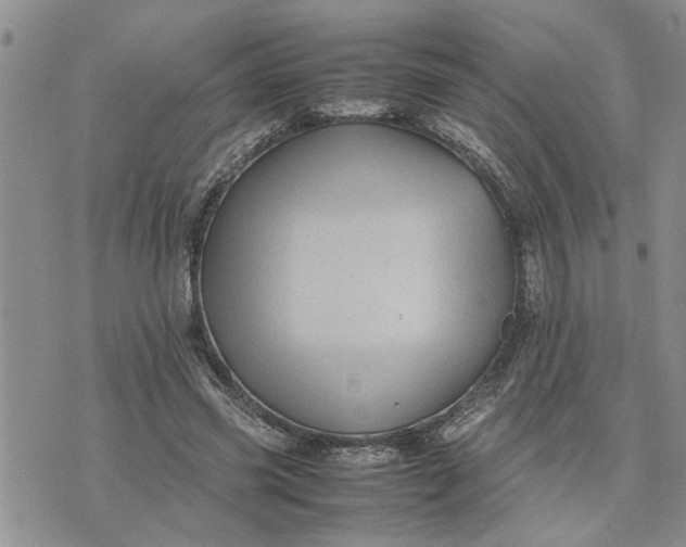 X0000075380541200609251154