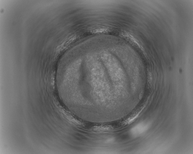 X0000075380545200609251155