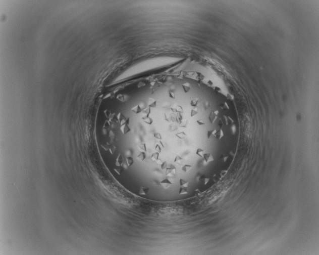 X0000075380546200609251155