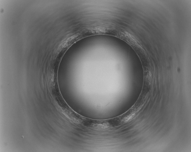 X0000075380548200609251155