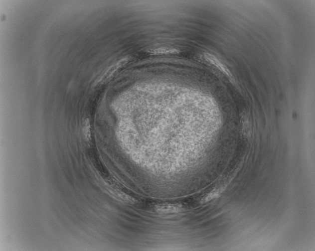 X0000075380549200609251155