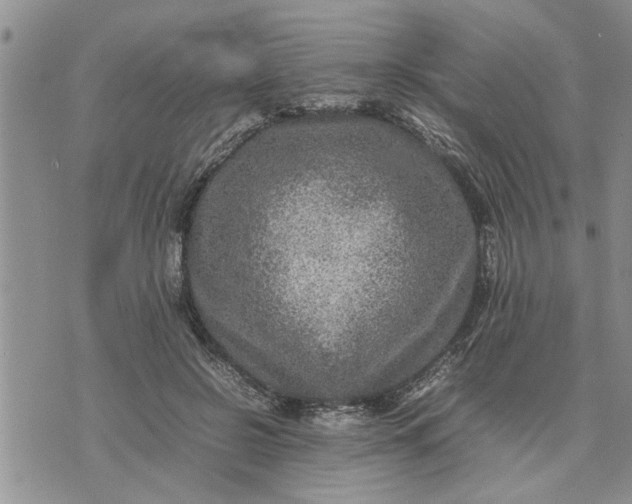 X0000075380550200609251155