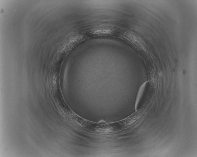 X0000075380551200609251155