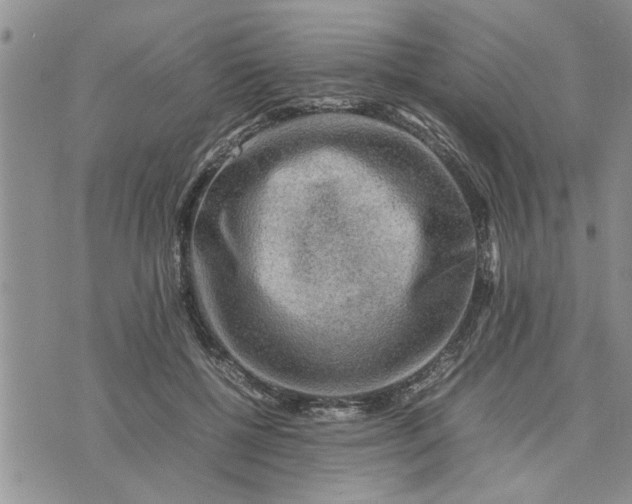 X0000075380552200609251155