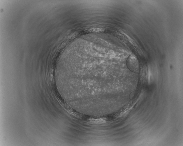 X0000075380553200609251155