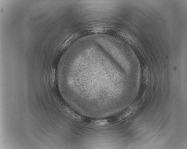 X0000075380554200609251155