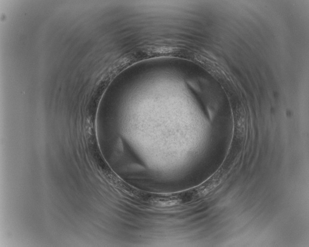 X0000075380555200609251155