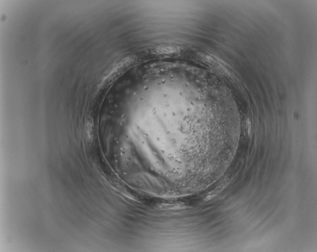 X0000075380556200609251155