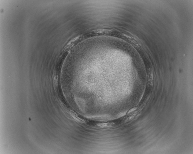 X0000075380558200609251155