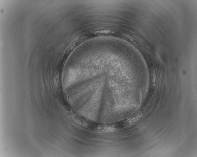 X0000075380559200609251155