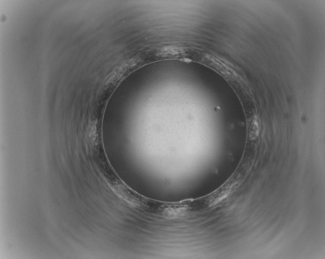 X0000075380560200609251155