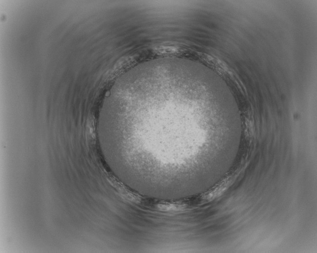 X0000075380561200609251155