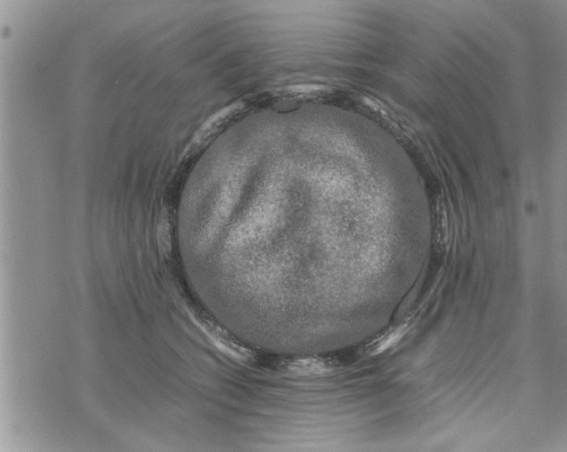 X0000075380562200609251155