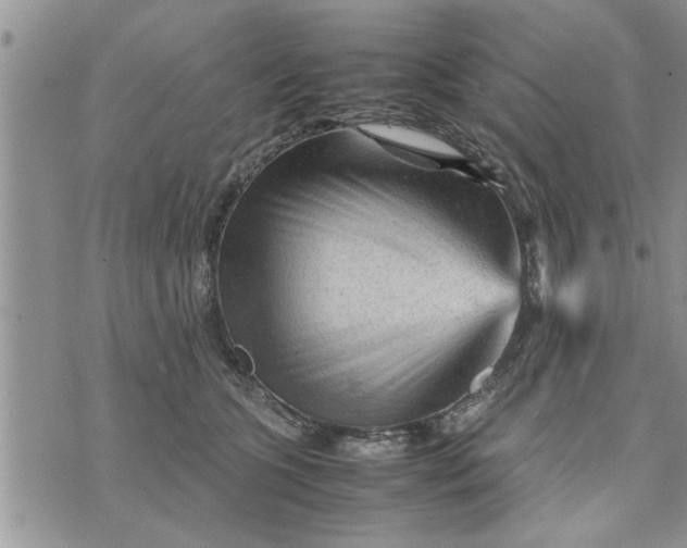 X0000075380563200609251155