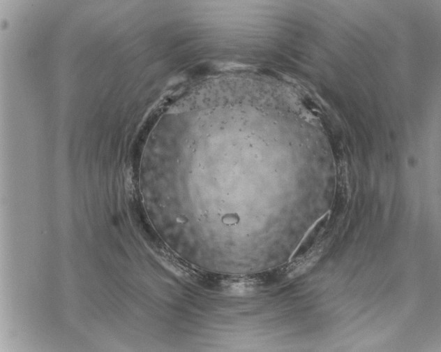 X0000075380564200609251155