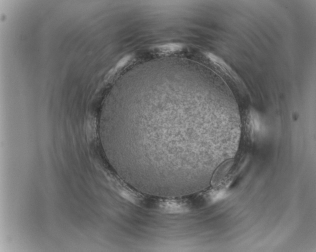 X0000075380565200609251155