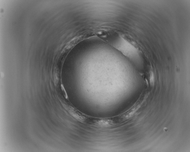 X0000075380566200609251155