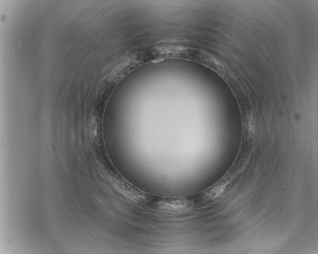 X0000075380567200609251155