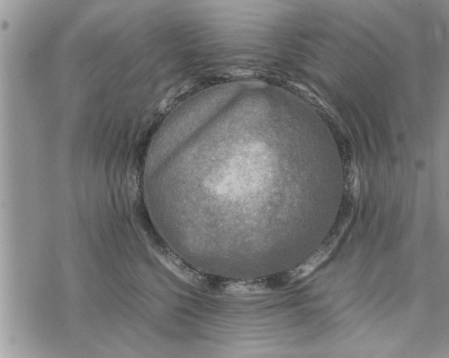 X0000075380568200609251155