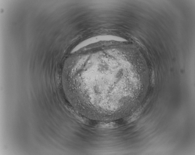 X0000075380569200609251155