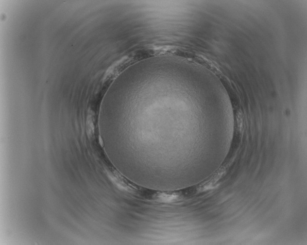 X0000075380570200609251155