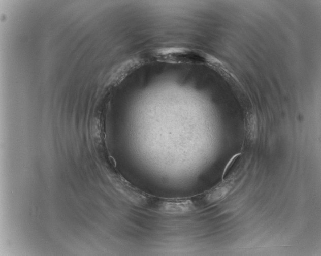 X0000075380571200609251155