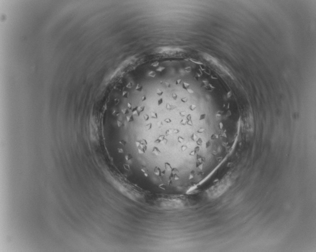 X0000075380572200609251155