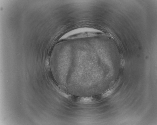 X0000075380573200609251155