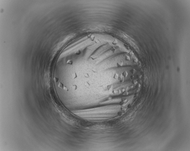 X0000075380578200609251154