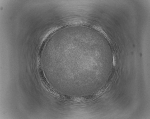 X0000075380579200609251154