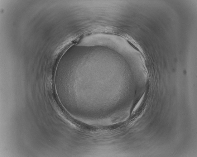 X0000075380581200609251154