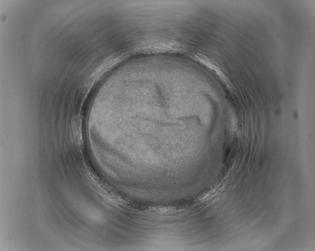 X0000075380582200609251154