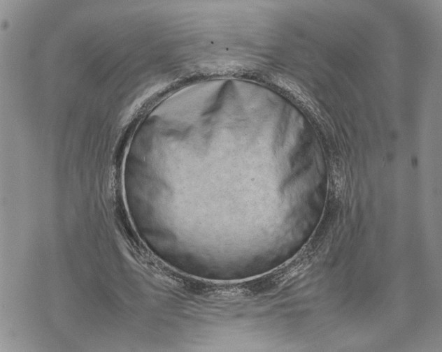 X0000075380583200609251154