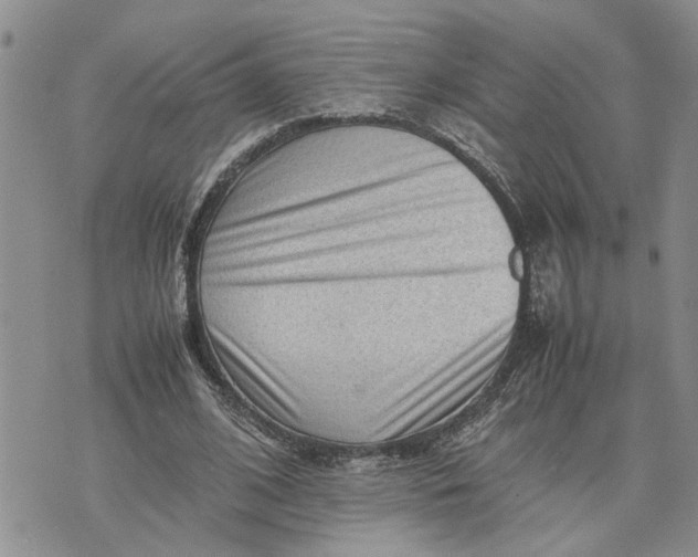 X0000075380584200609251154