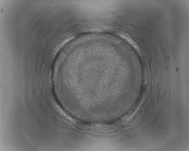 X0000075380585200609251154