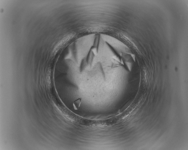 X0000075380586200609251154