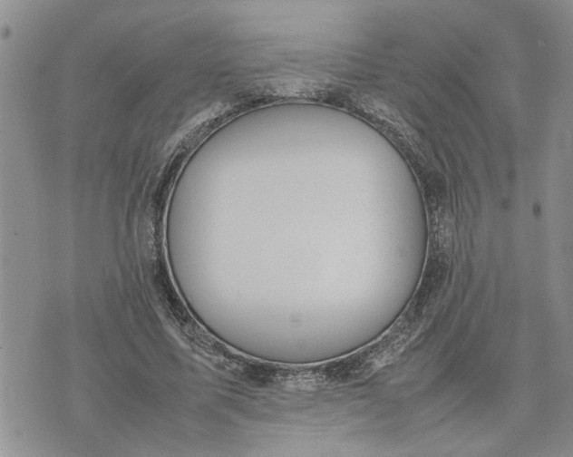 X0000075380587200609251154