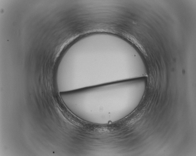 X0000075380588200609251154