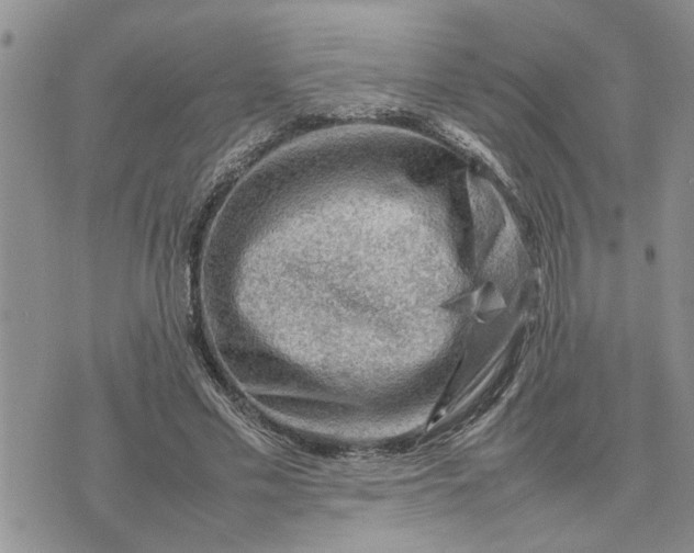 X0000075380589200609251154