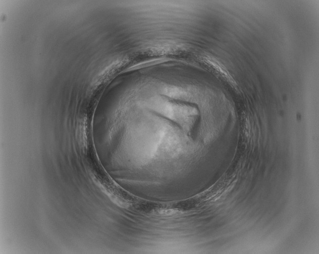 X0000075380590200609251154