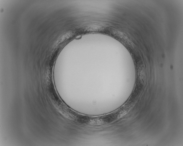 X0000075380591200609251154