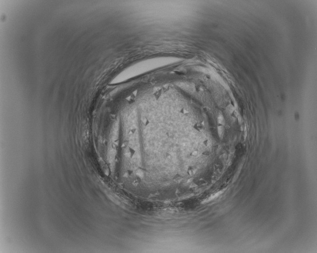 X0000075380593200609251154