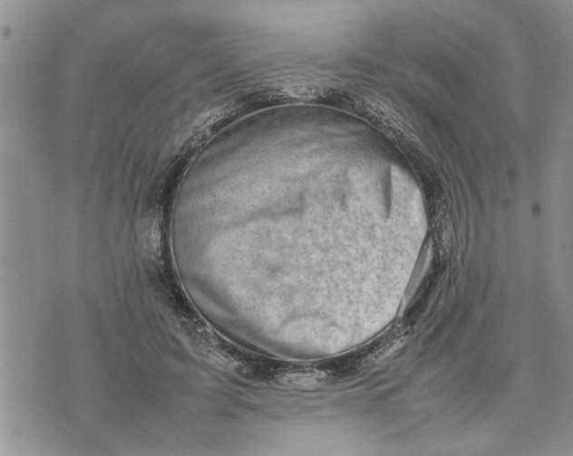 X0000075380595200609251154