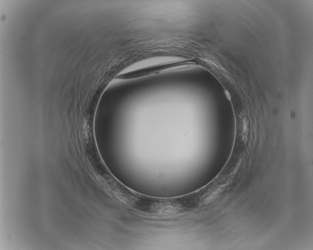 X0000075380597200609251154