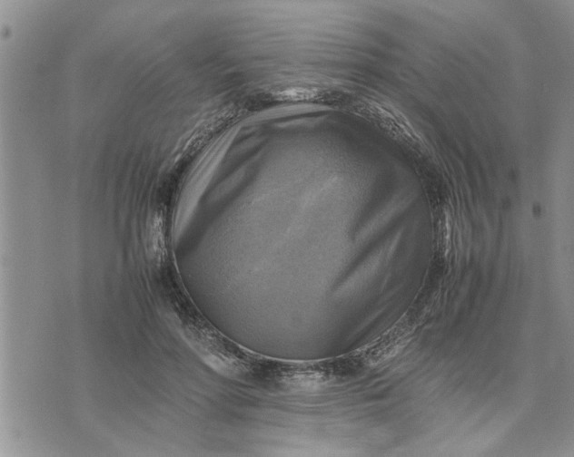 X0000075380598200609251154