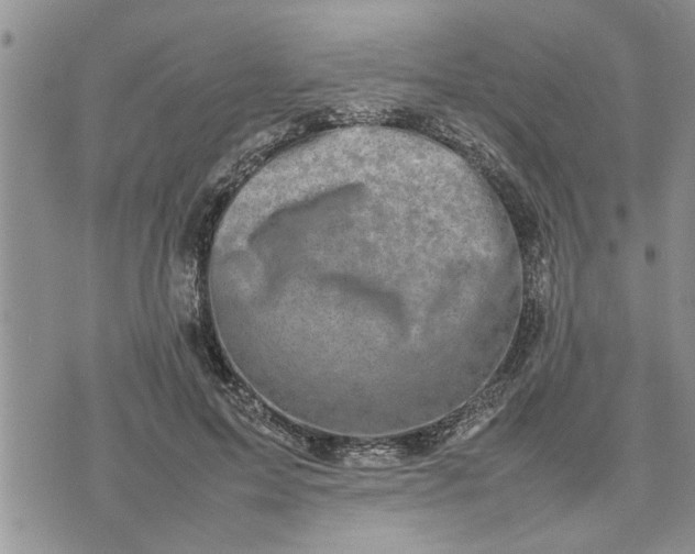 X0000075380599200609251154